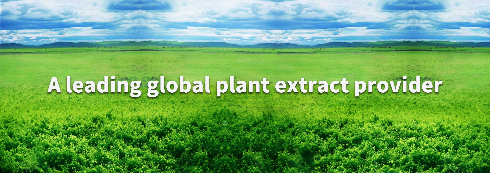 壹定发(中国游)最新官方网站