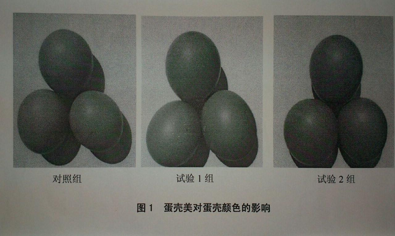 壹定发(中国游)最新官方网站