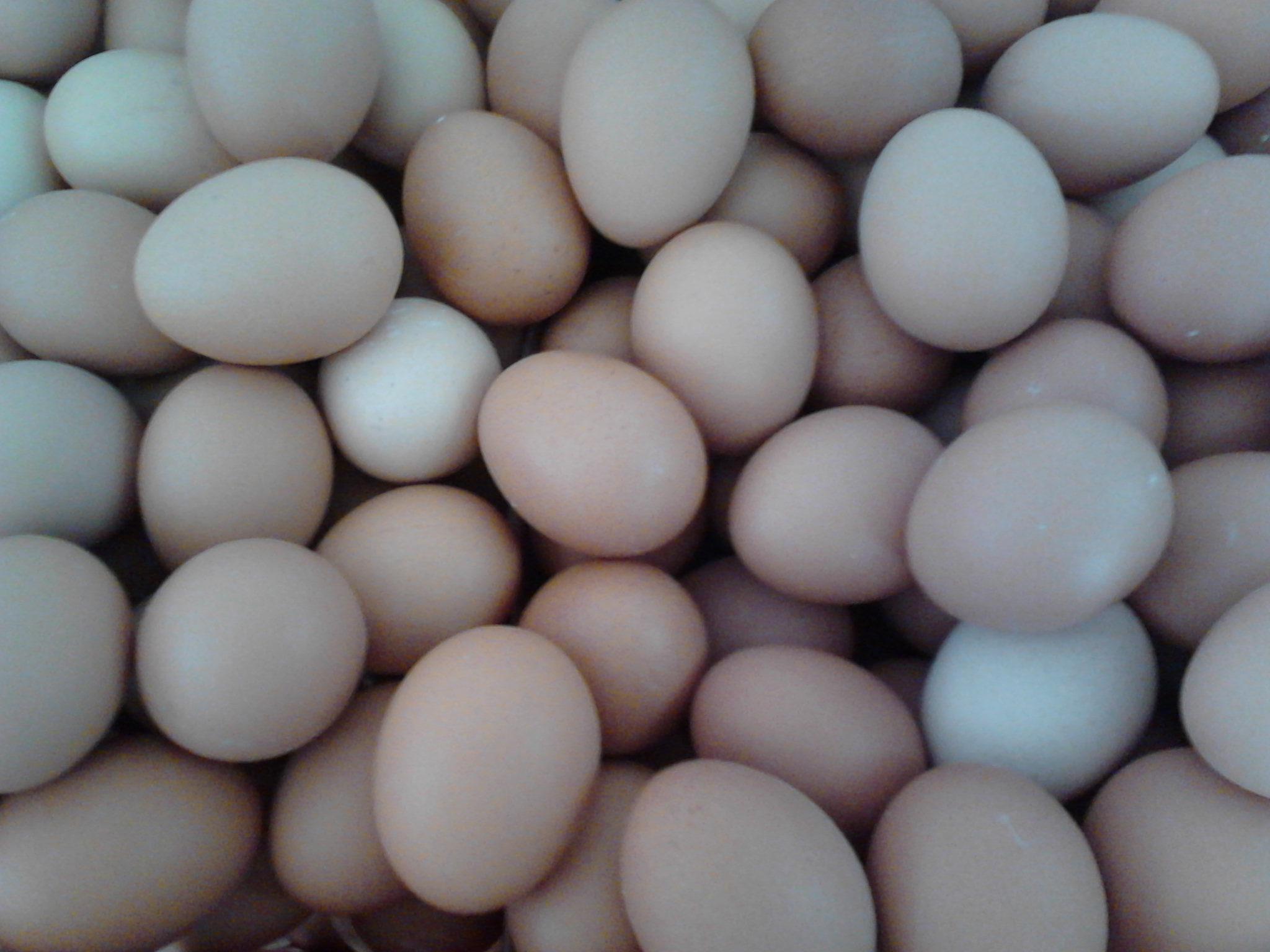 壹定发(中国游)最新官方网站