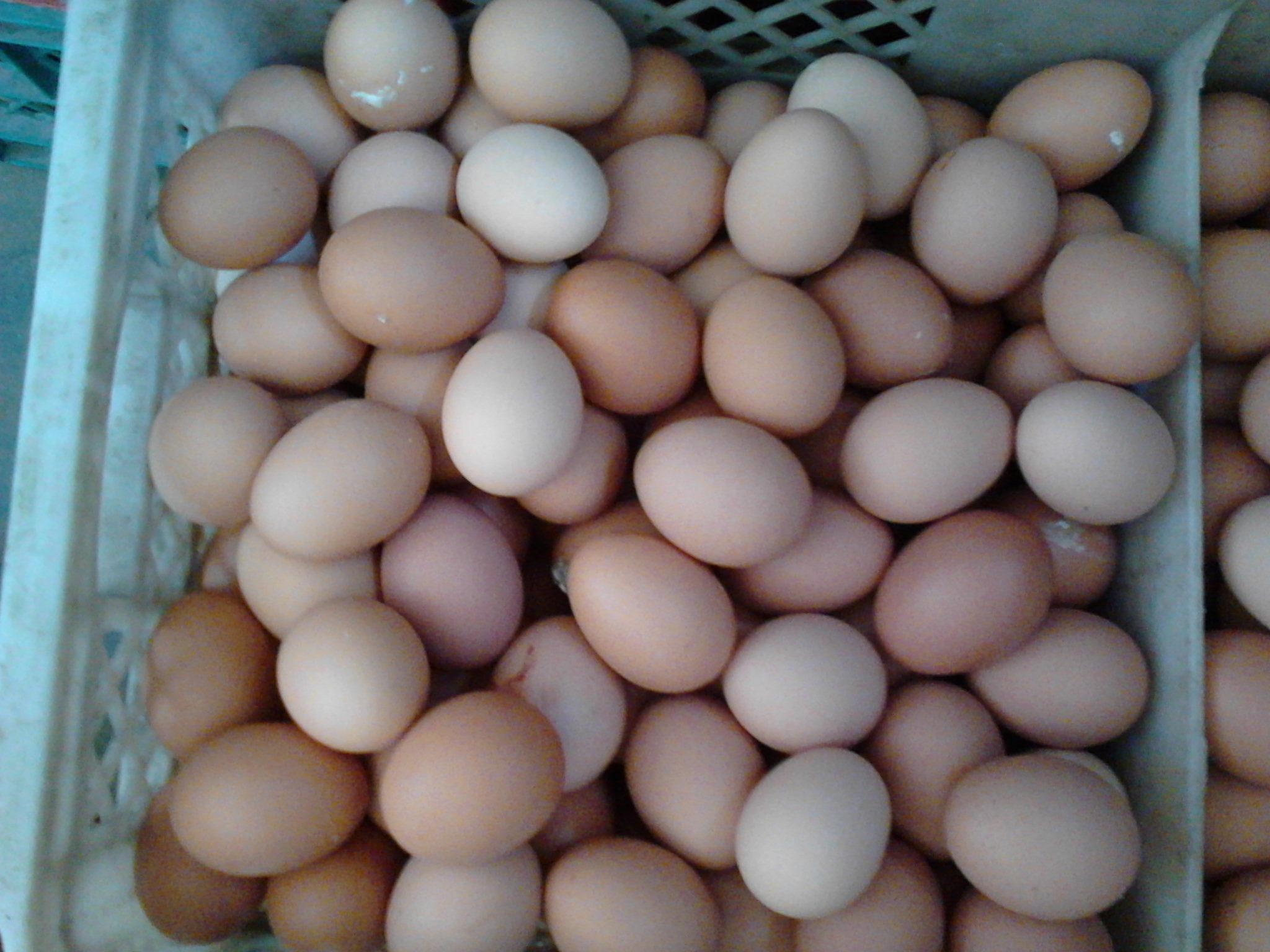 壹定发(中国游)最新官方网站