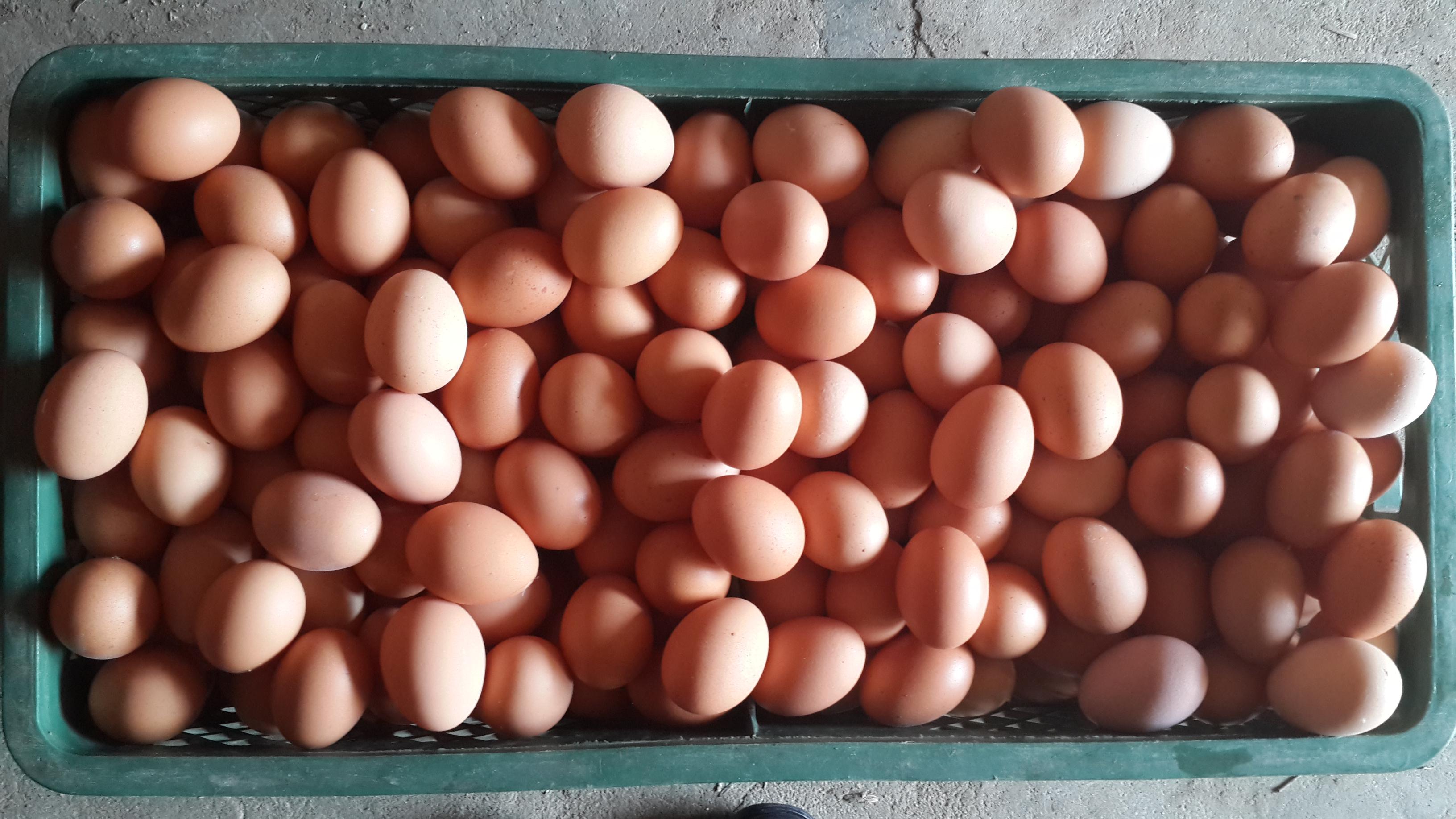 壹定发(中国游)最新官方网站