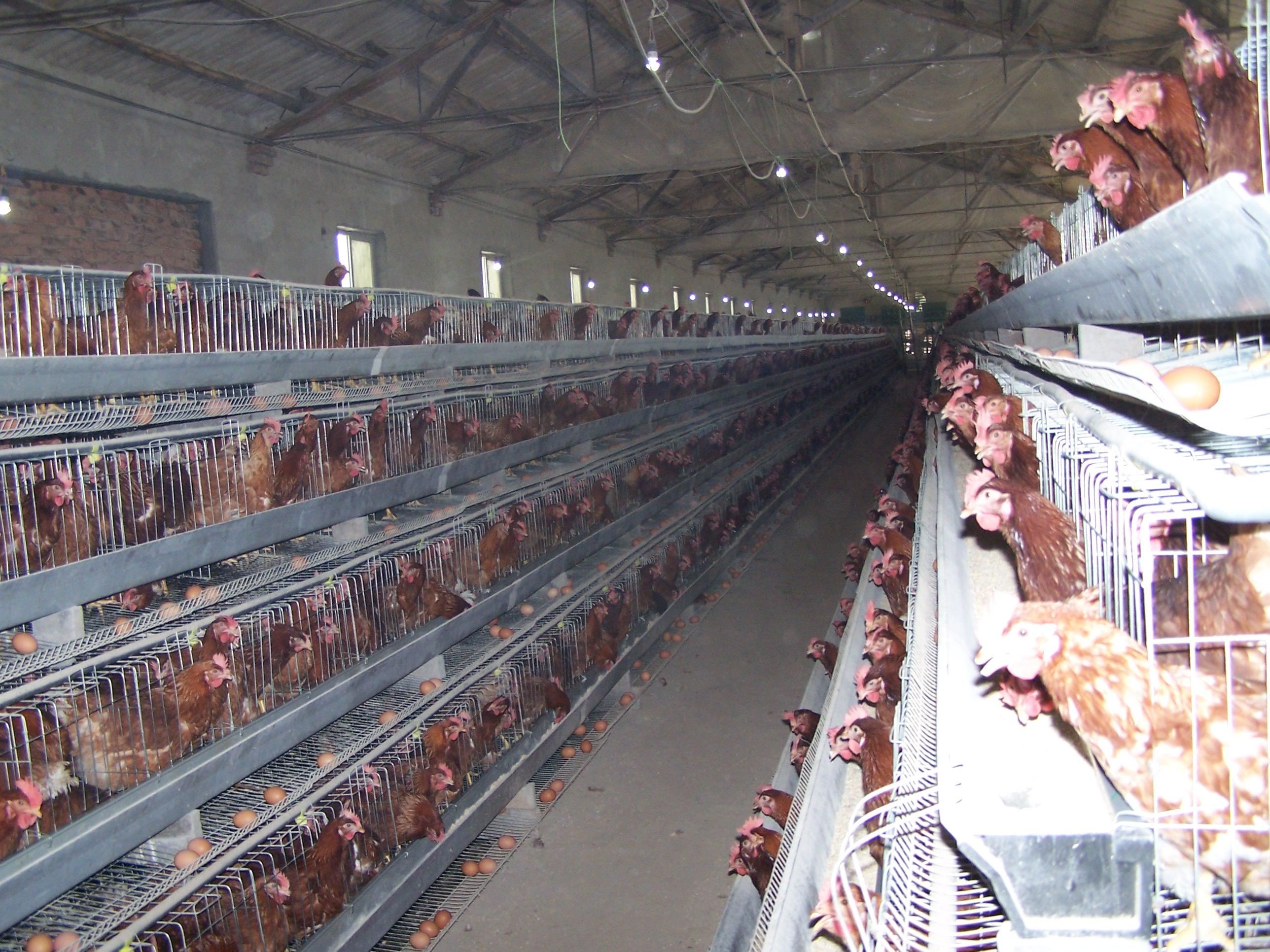 壹定发(中国游)最新官方网站