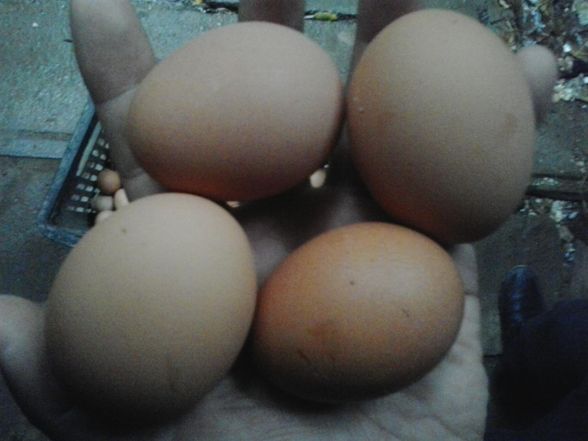 壹定发(中国游)最新官方网站