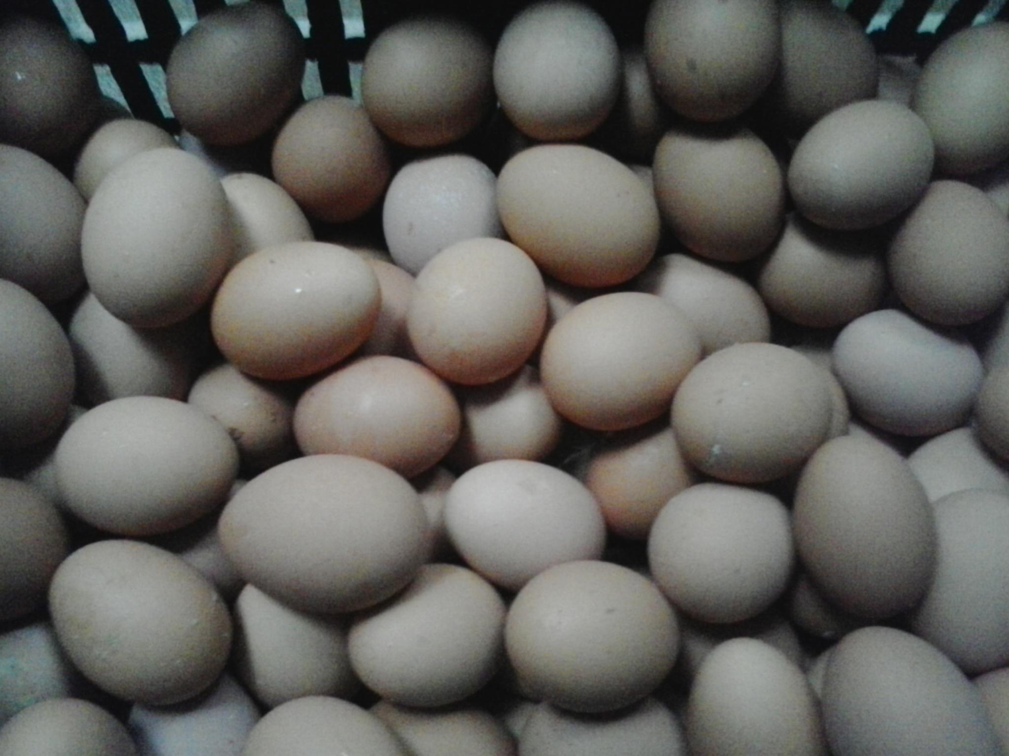 壹定发(中国游)最新官方网站