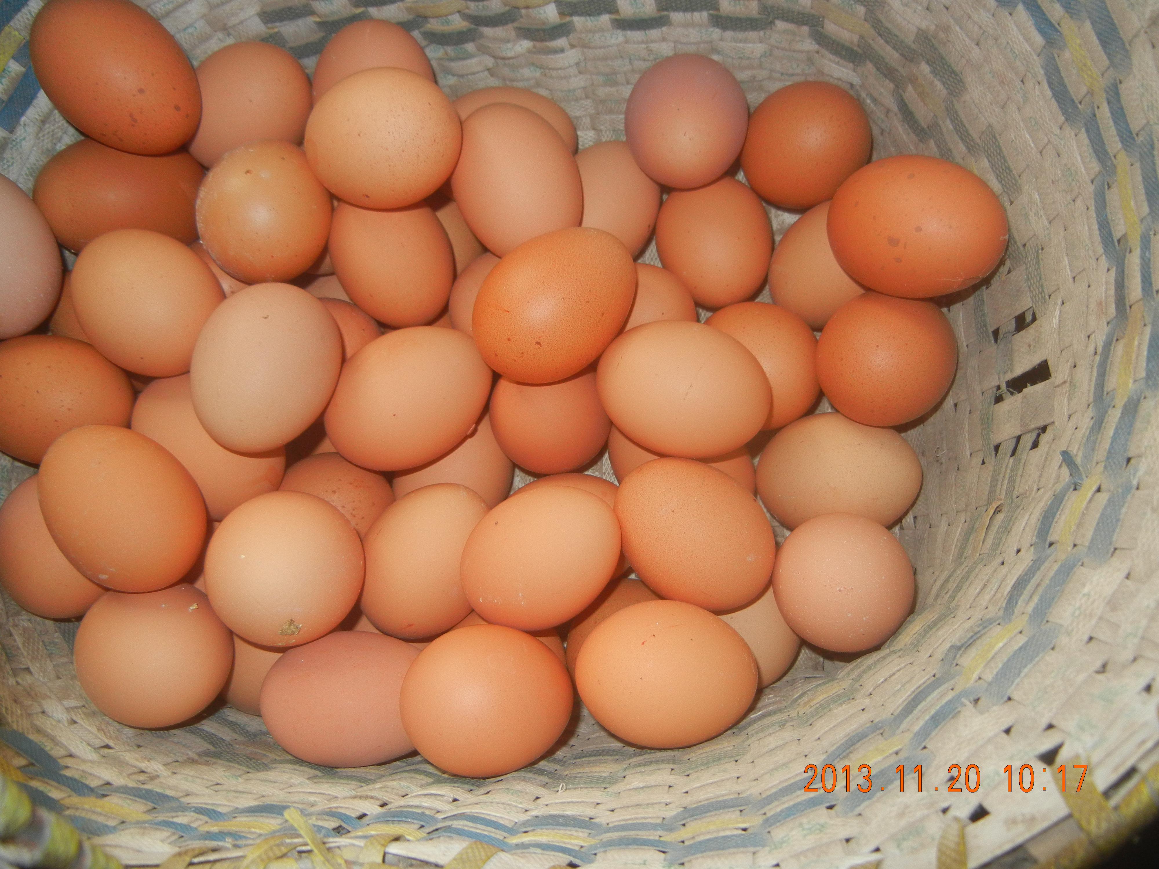 壹定发(中国游)最新官方网站