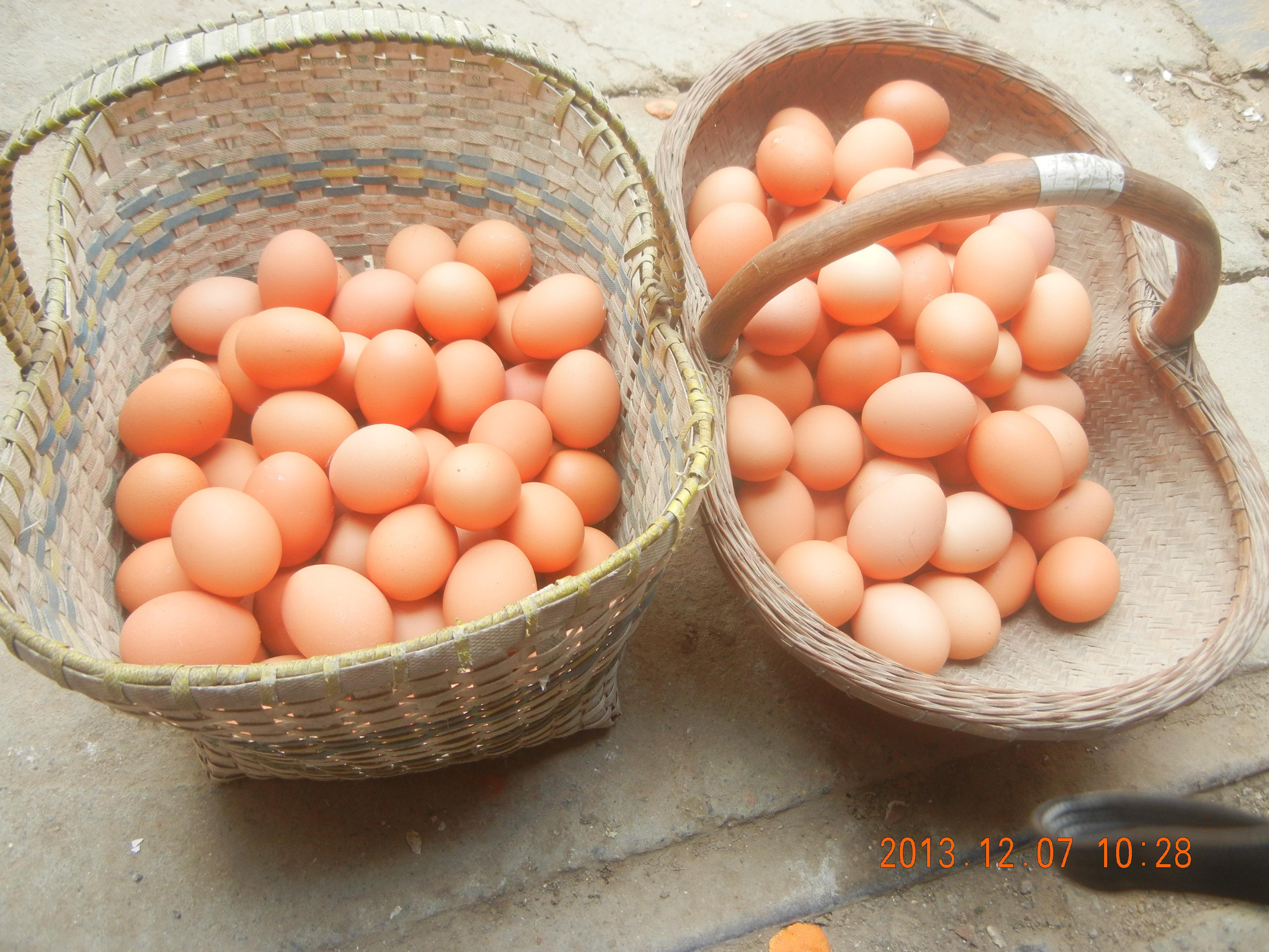 壹定发(中国游)最新官方网站