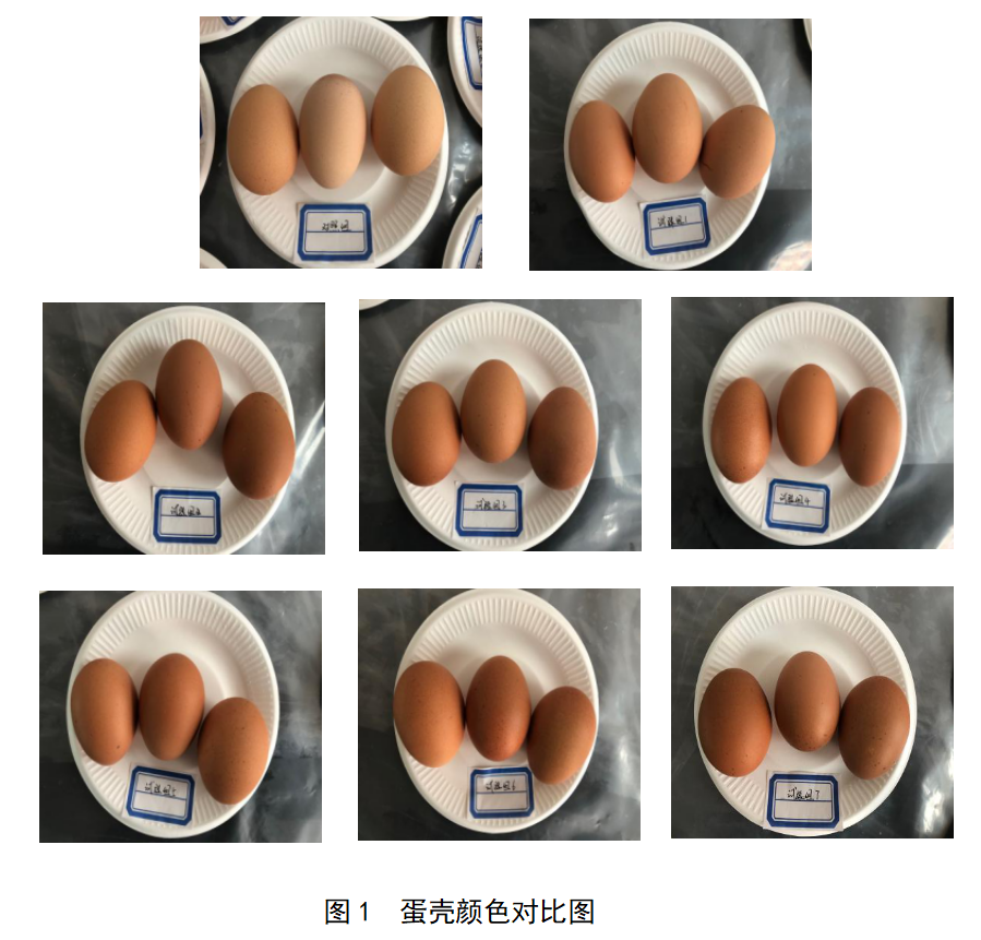 壹定发(中国游)最新官方网站