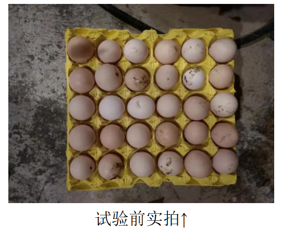 壹定发(中国游)最新官方网站