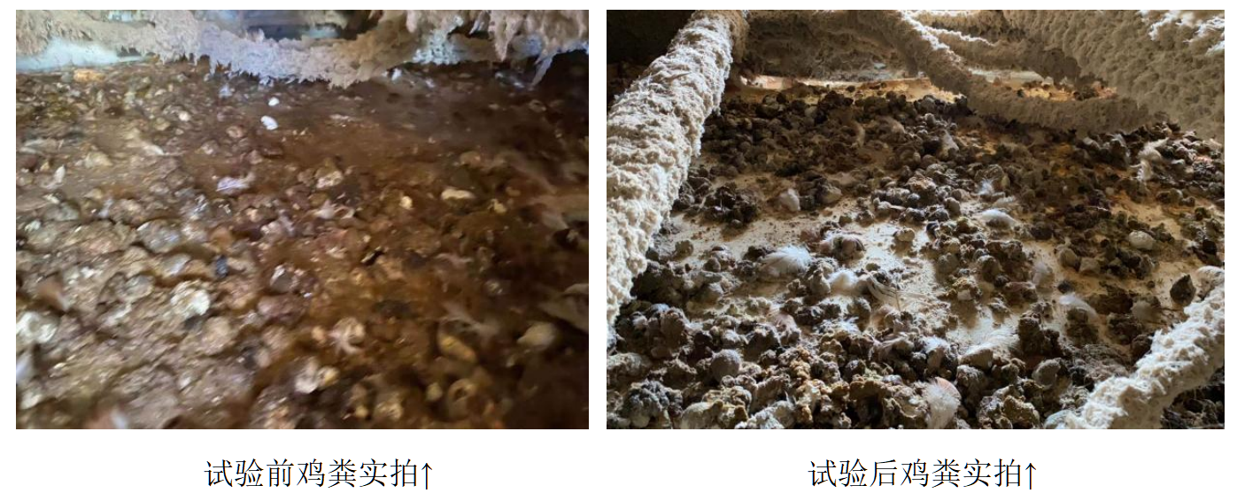 壹定发(中国游)最新官方网站