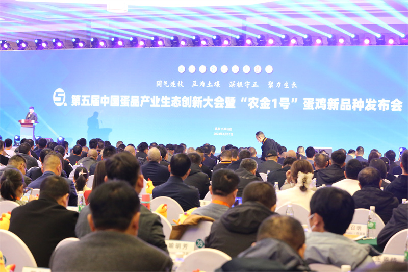 壹定发(中国游)最新官方网站