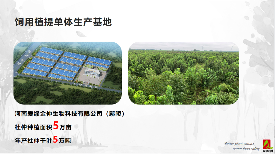 壹定发(中国游)最新官方网站