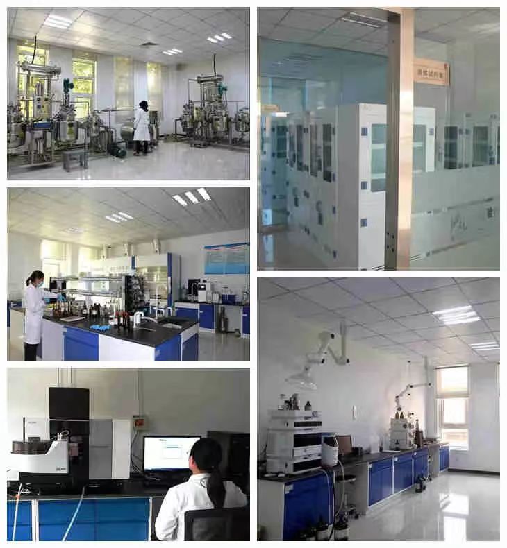 壹定发(中国游)最新官方网站