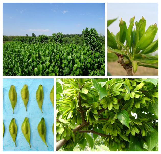 壹定发(中国游)最新官方网站