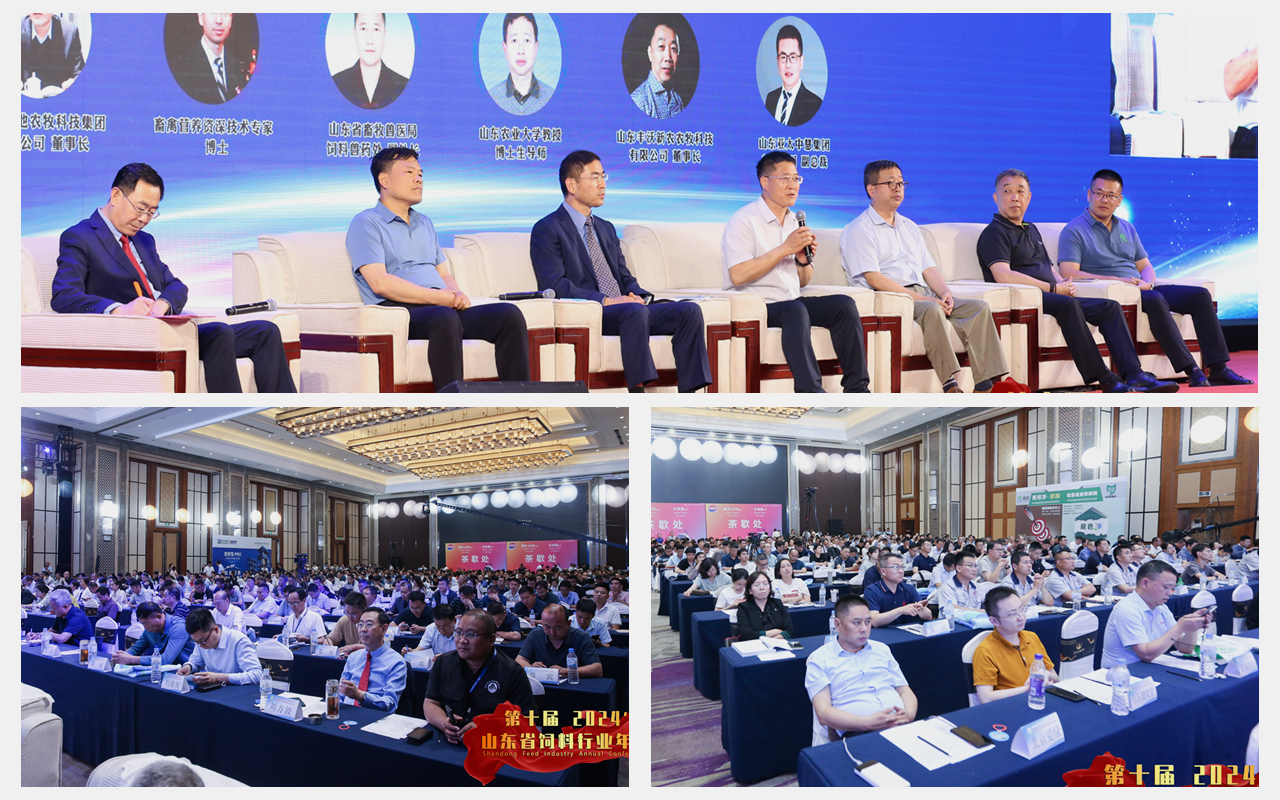 壹定发(中国游)最新官方网站