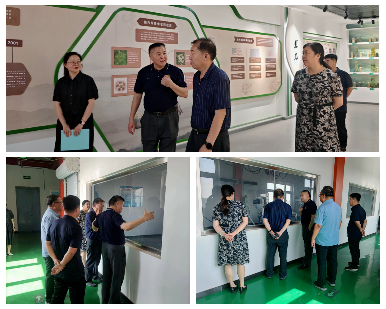 壹定发(中国游)最新官方网站